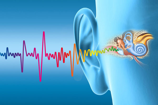 Hearing Protection Solves More Than Hearing Loss